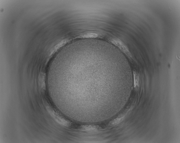 X0000063460300200601271611