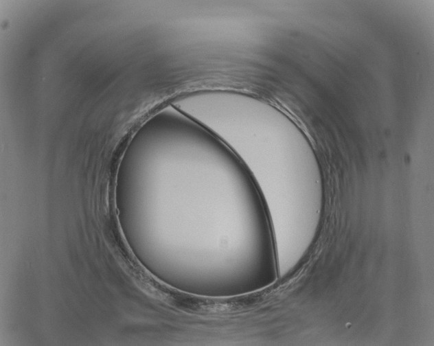 X0000063460301200601271611