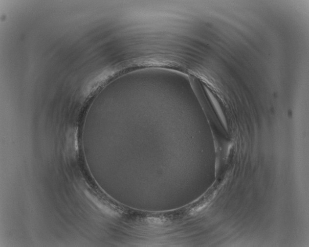 X0000063460302200601271611