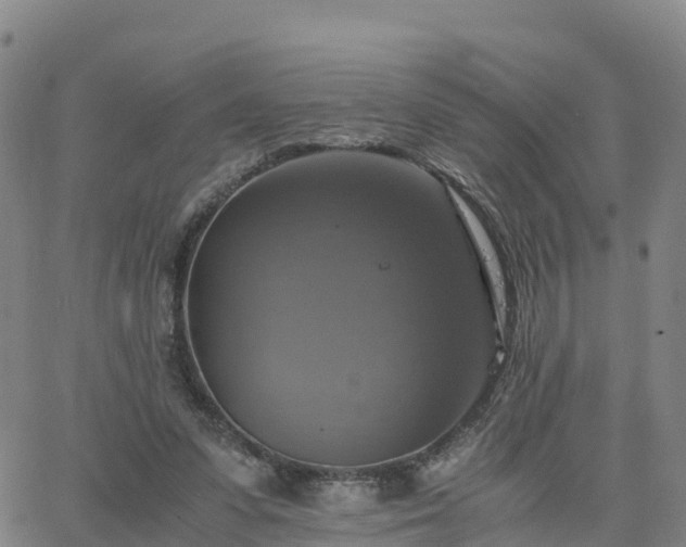 X0000063460303200601271611