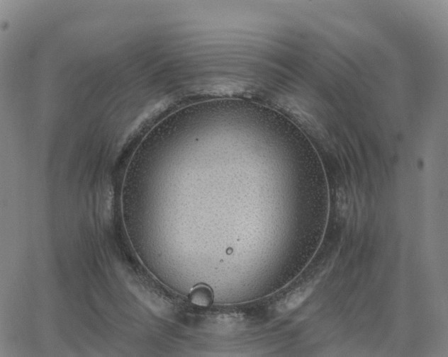 X0000063460304200601271611