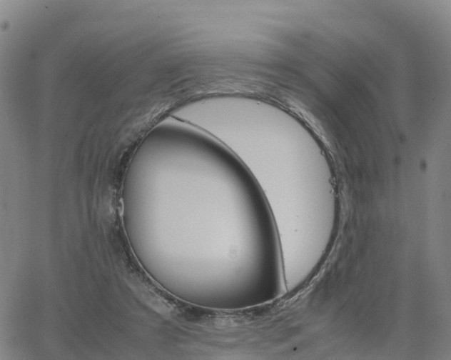 X0000063460305200601271611