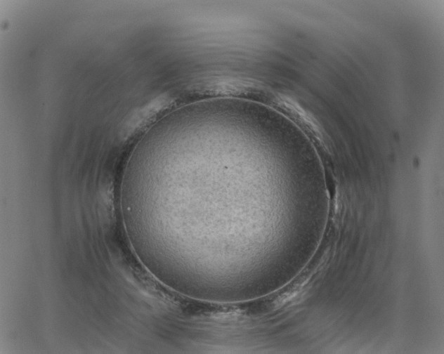 X0000063460306200601271611