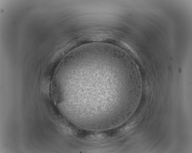 X0000063460307200601271611