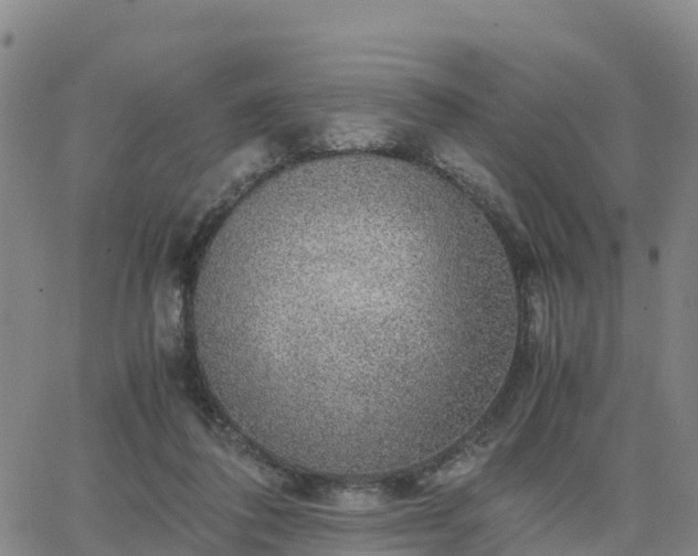 X0000063460308200601271611