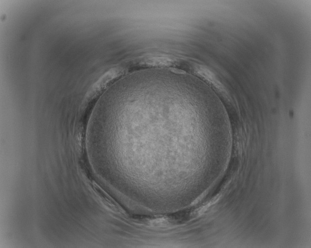 X0000063460309200601271611