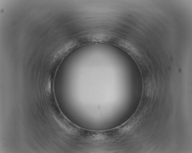 X0000063460310200601271611