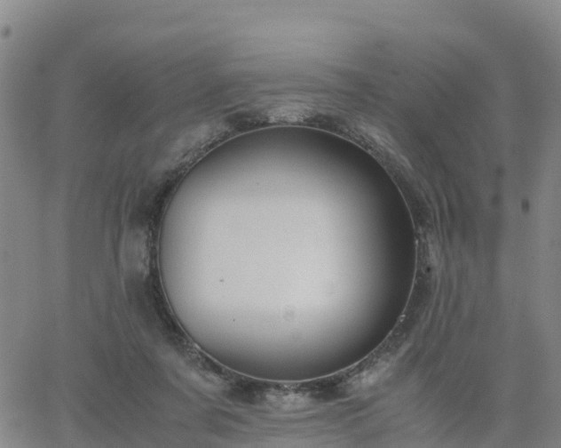 X0000063460311200601271611