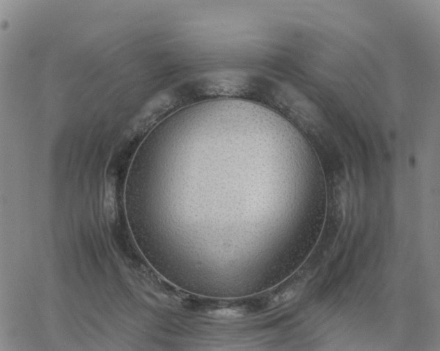 X0000063460312200601271611