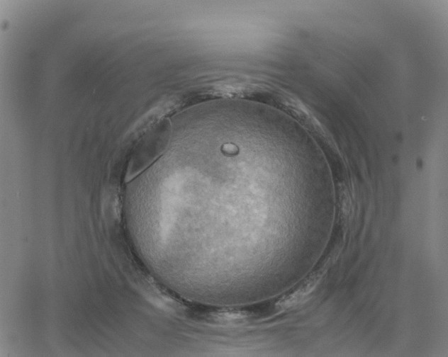 X0000063460313200601271611