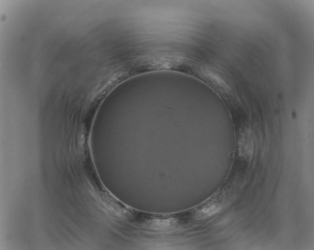 X0000063460314200601271611