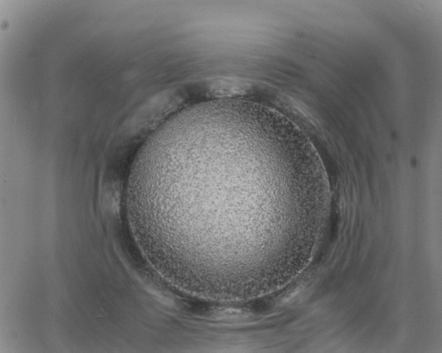 X0000063460315200601271611