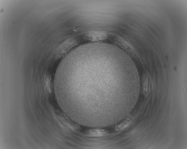 X0000063460316200601271611