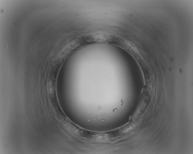 X0000063460317200601271611