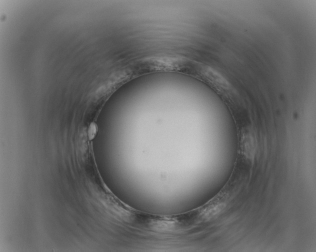 X0000063460318200601271611