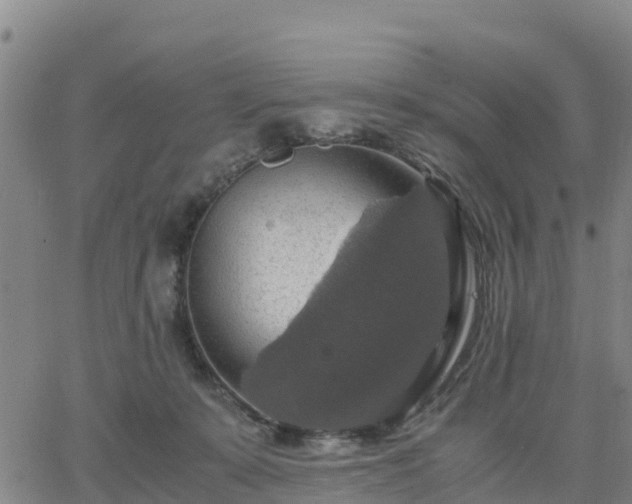 X0000063460319200601271611