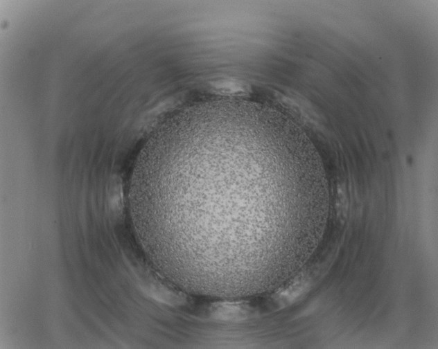 X0000063460320200601271611