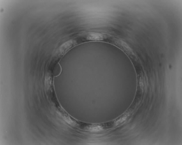 X0000063460322200601271611