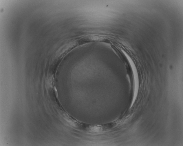 X0000063460325200601271611