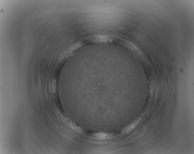 X0000063460326200601271611