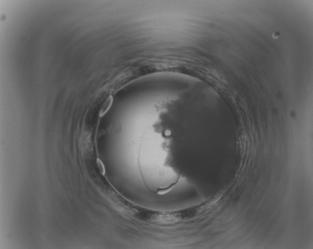 X0000063460327200601271611