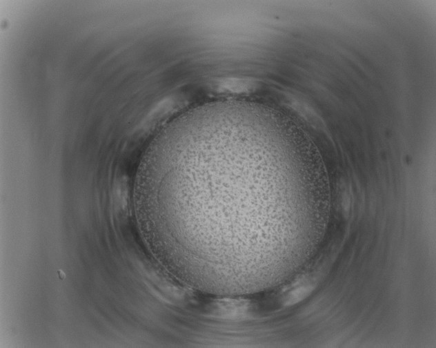 X0000063460328200601271611