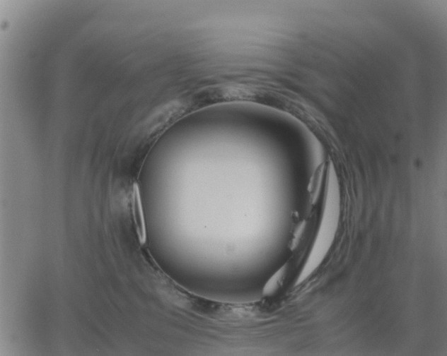 X0000063460329200601271611