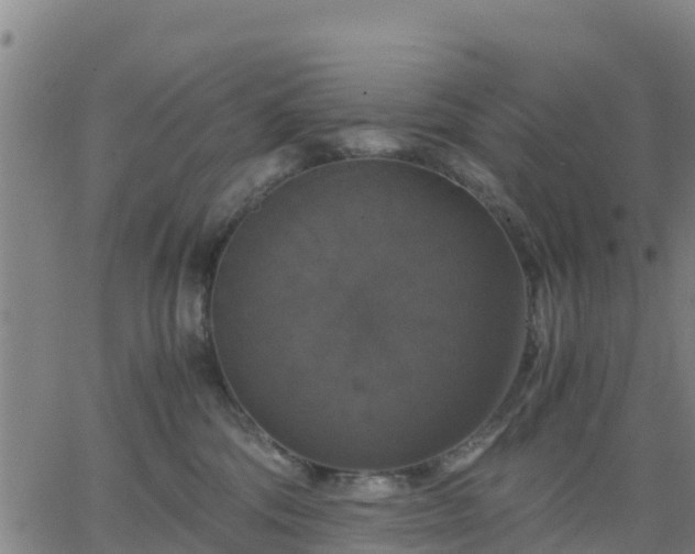 X0000063460330200601271611