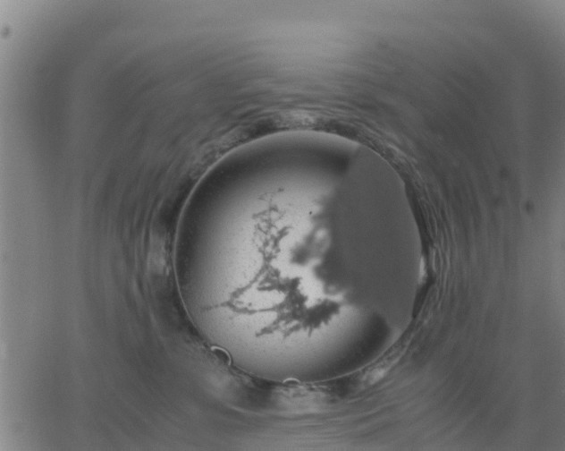 X0000063460331200601271611