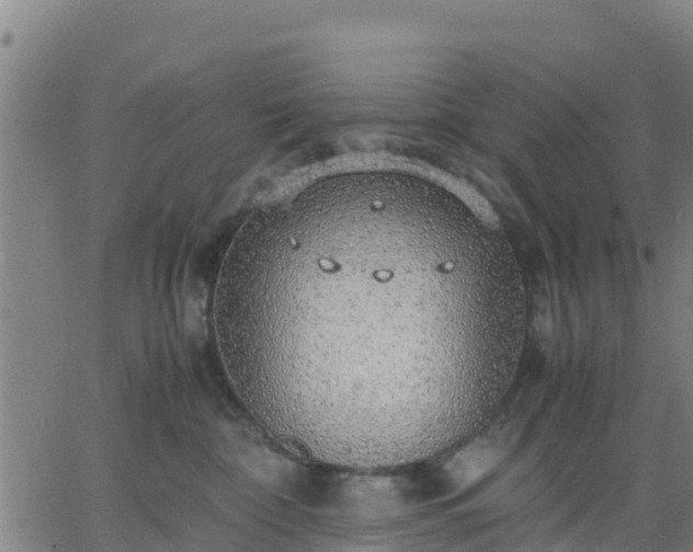 X0000063460332200601271610