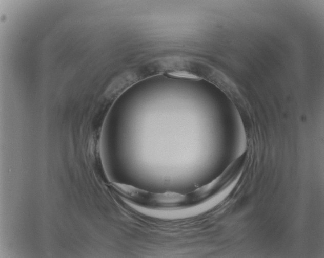 X0000063460333200601271610