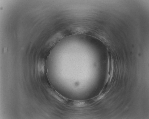 X0000063460334200601271610