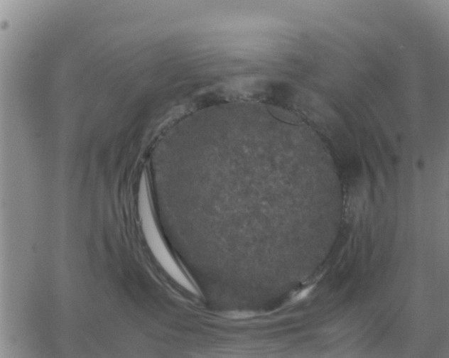 X0000063460335200601271610