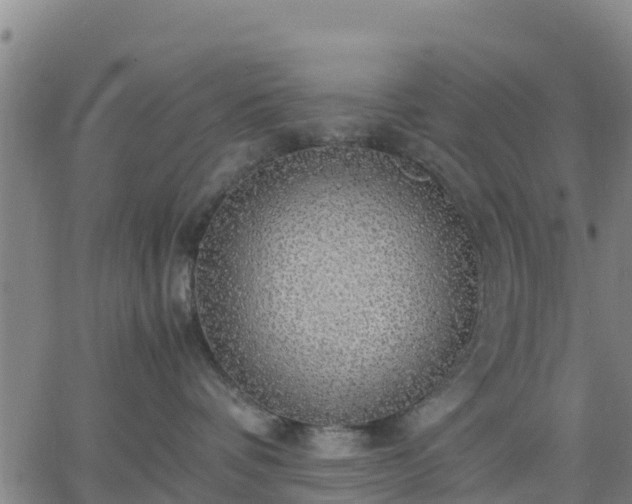 X0000063460336200601271610