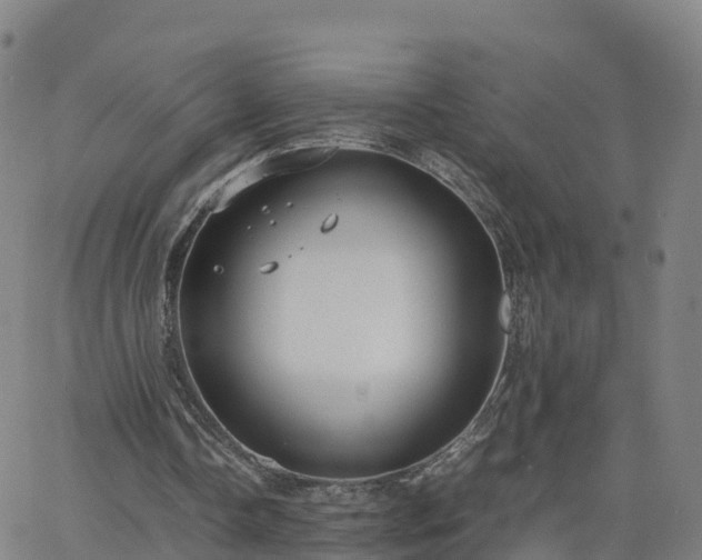 X0000063460338200601271610