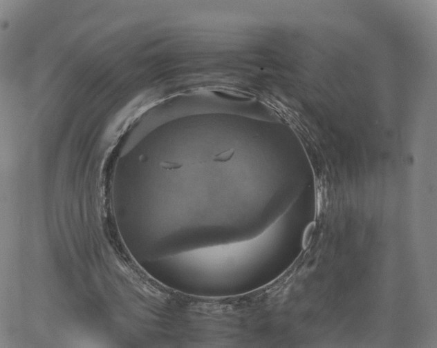 X0000063460339200601271610