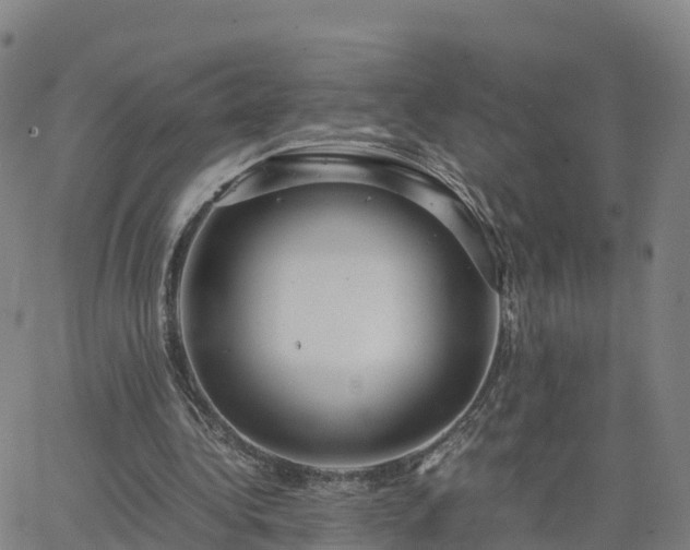 X0000063460340200601271610