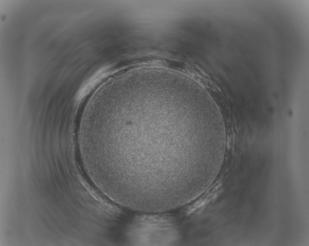 X0000063460341200601271610