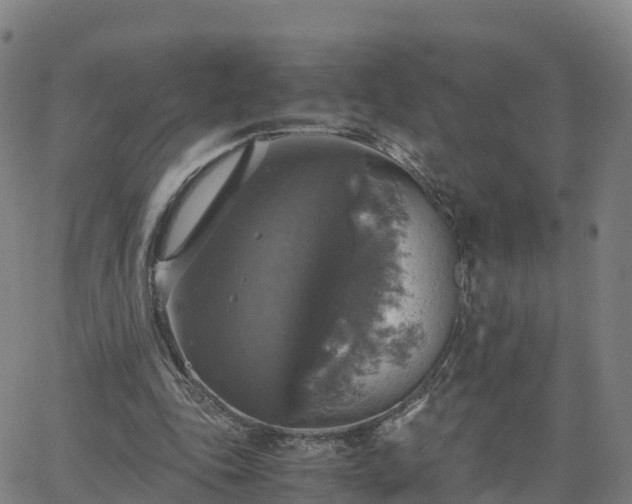 X0000063460343200601271610