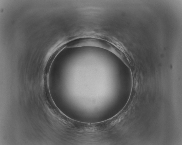 X0000063460344200601271610