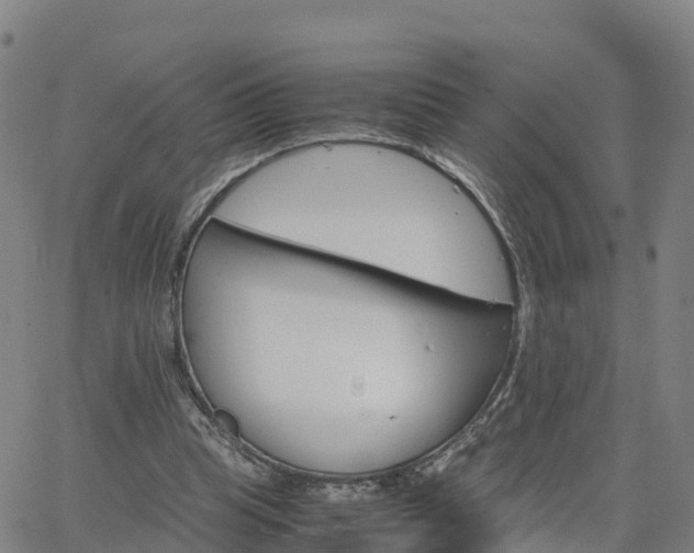 X0000063460345200601271610