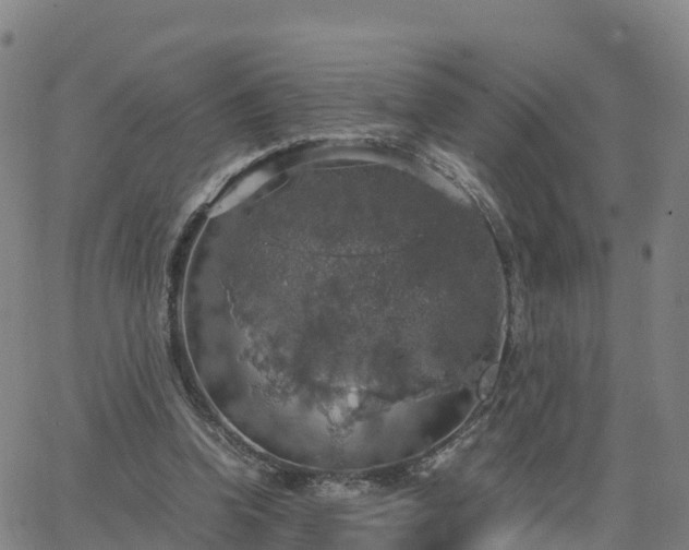 X0000063460346200601271610