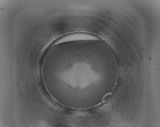 X0000063460347200601271610