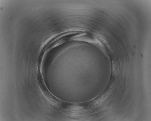 X0000063460348200601271610