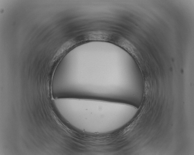 X0000063460349200601271610