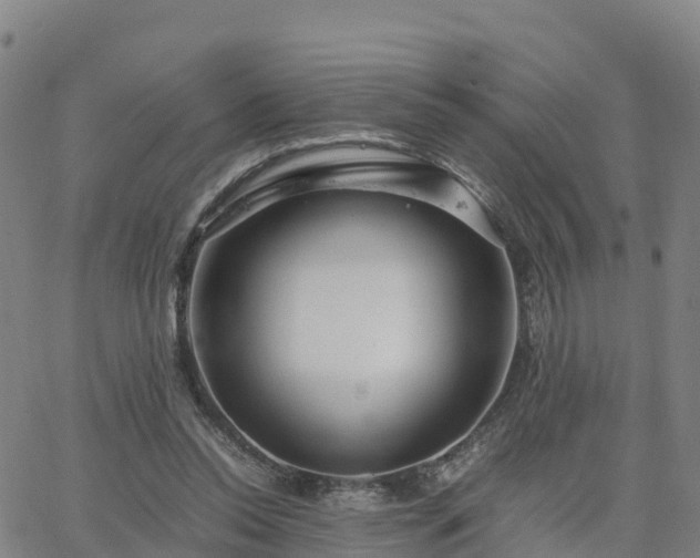 X0000063460350200601271610