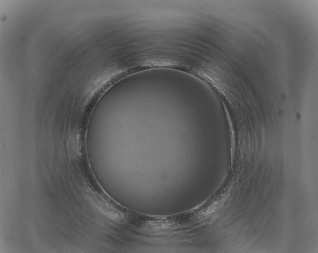 X0000063460351200601271610