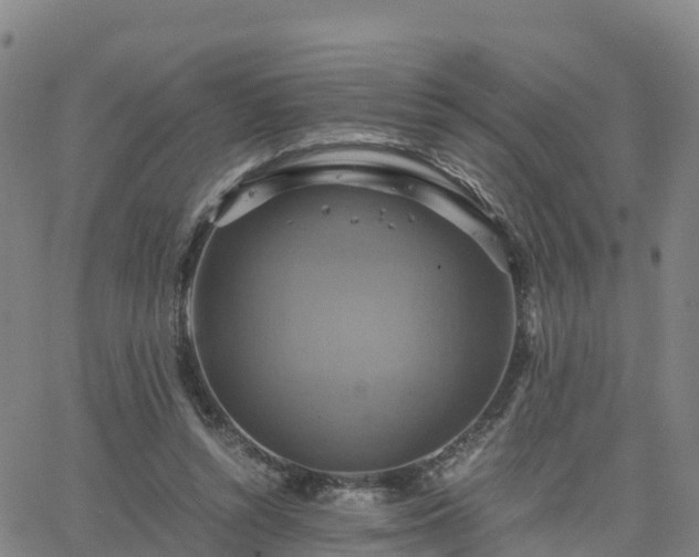 X0000063460352200601271610