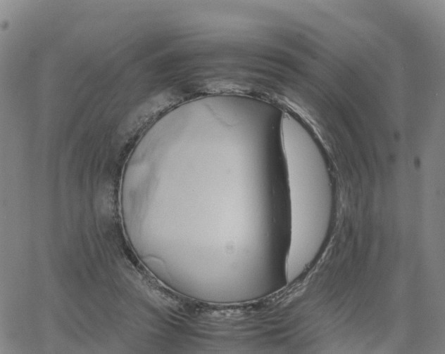 X0000063460353200601271610