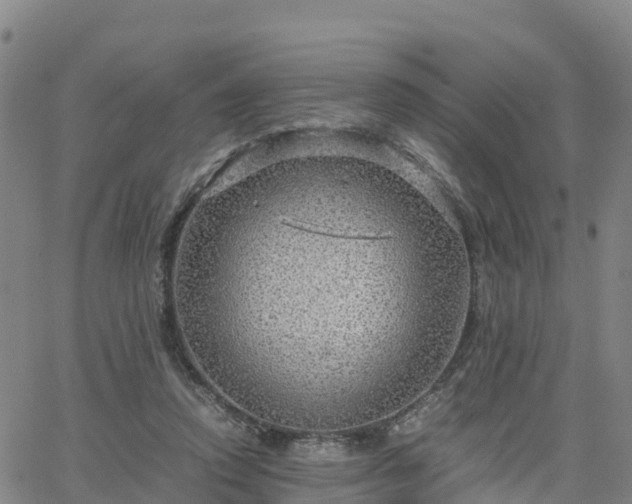 X0000063460354200601271610